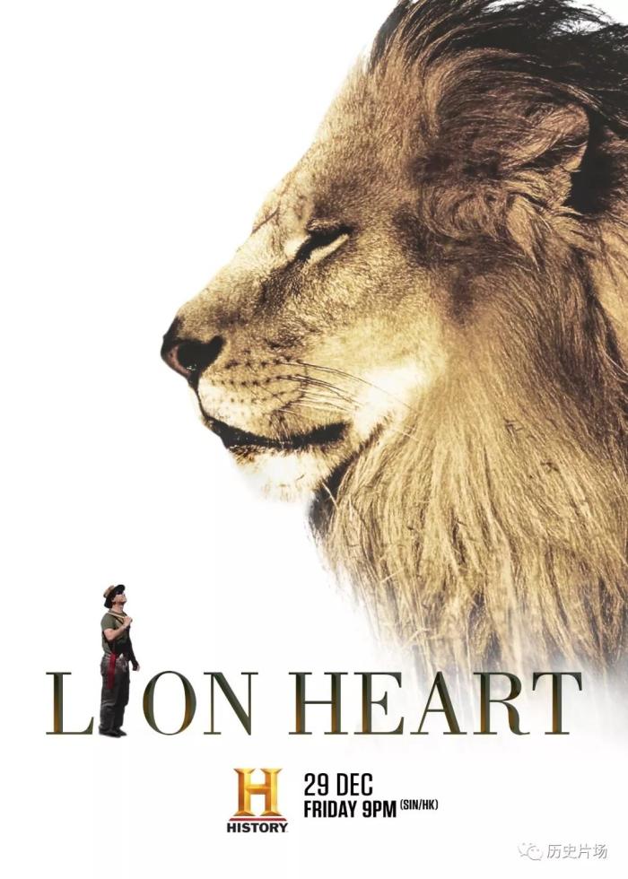 狮子之心剧照