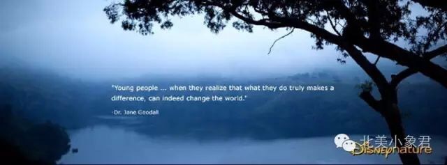 4B042638-A217-4878-8AD3-7434EBD07413