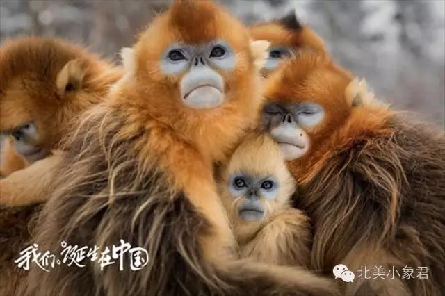 4E1353CA-129E-46CA-A7E1-CCDA17F350BB