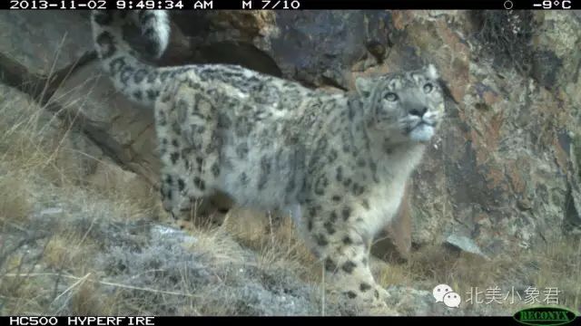 59BD0000-6575-46B8-BDD8-714C4C62F970