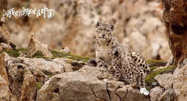 6779323D-E609-450D-9CF2-BFC49DA32462