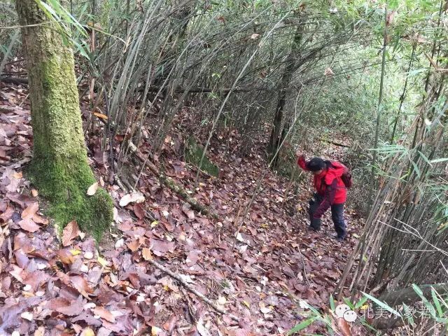 FED16A41-20BA-469C-B9BC-CCB9457B4536