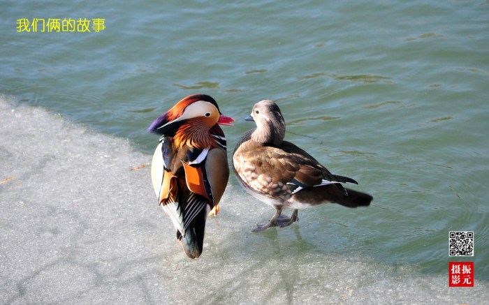 Cg-4jlMXBw2IbZmwAB3pTjiO2n8AAKTVALnLIcAHelm612