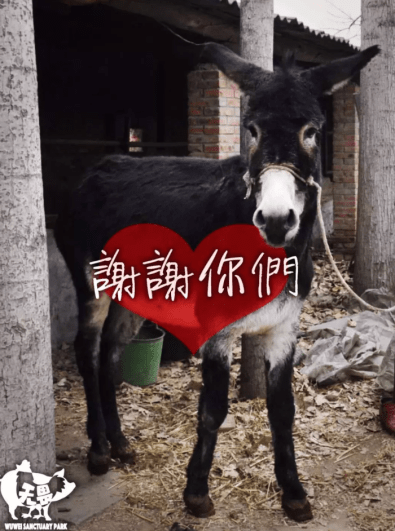 Screen Shot 2018-09-18 at 12.45.42 AM