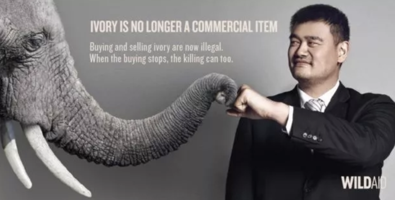 Screen Shot 2018-11-13 at 12.56.16 AM.png