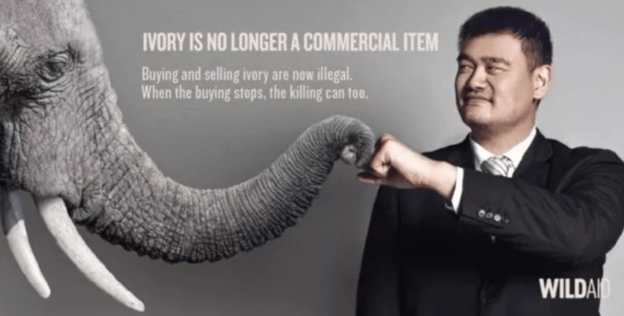 Screen Shot 2018-11-13 at 12.56.16 AM.png