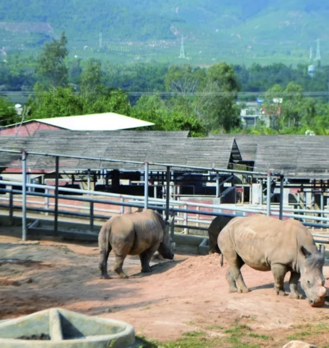 Screen Shot 2018-11-13 at 12.56.40 AM