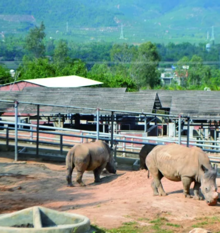 Screen Shot 2018-11-13 at 12.56.40 AM